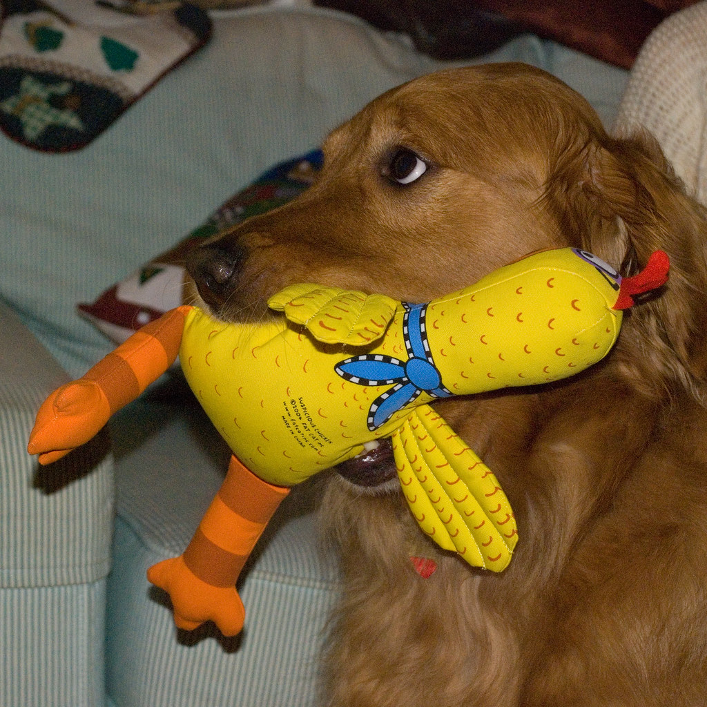 best squeaky toys