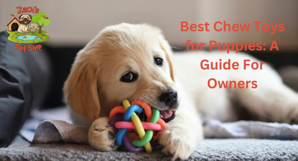safe chew toys for puppies